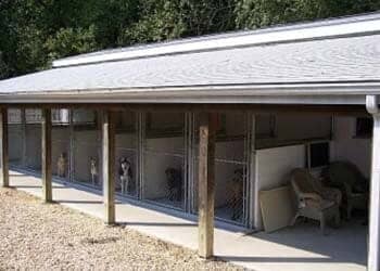 Dog Kennel in Chesterfield, NJ